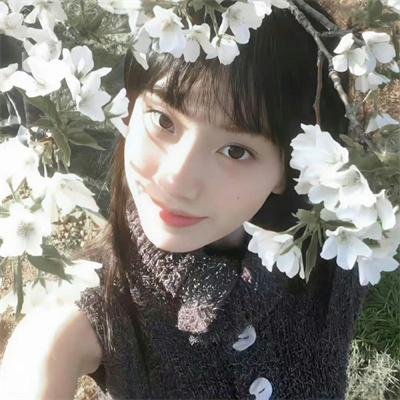 大道似锦